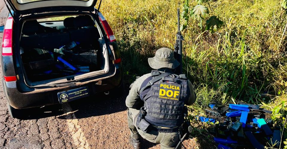 Foto: Divulgação/DOF