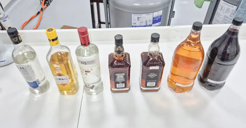 Foto: UFPR/Divulgação