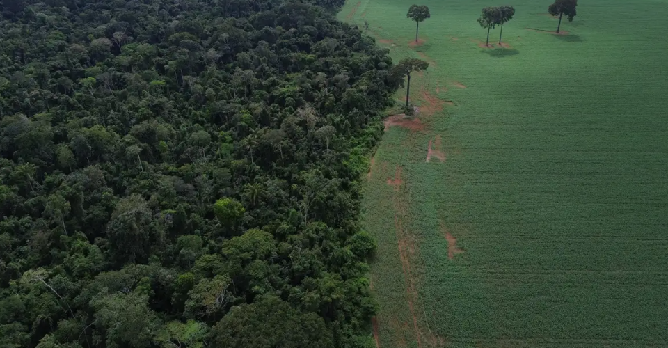 Foto: Fernando Frazão/Agência Brasil