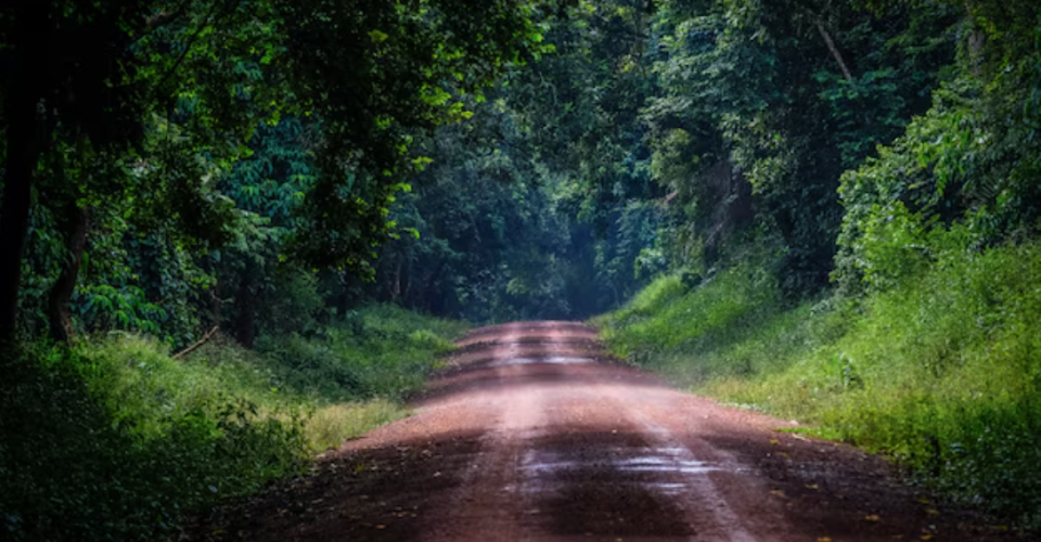 Imagem ilustrativa - Foto: Freepik