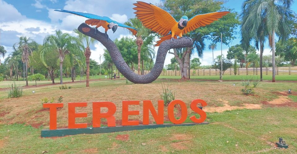 Realizado pelo artista
plástico Cleir Ávila, a obra
nomeada como “Monumento
Canindés” apresenta duas
araras, com cerca de sete
metros de altura (Foto: Divulgação)