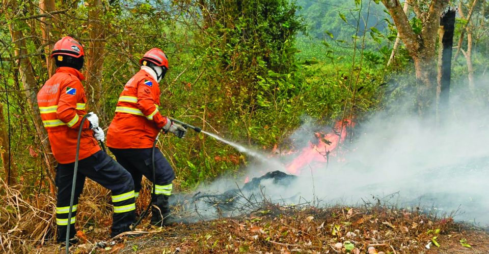 Medida foi proposta
diante da necessidade
de reforço das equipes
de combate ao fogo ( Foto: Bruno Rezende )