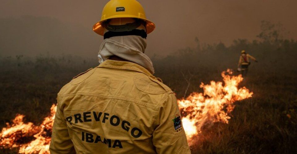 Foto: Divulgação/ Governo Federal