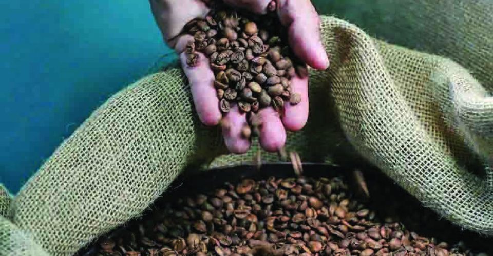 Uma parcela crescente das lavouras brasileiras é colhida com o uso de máquinas - Foto: ilustrativa