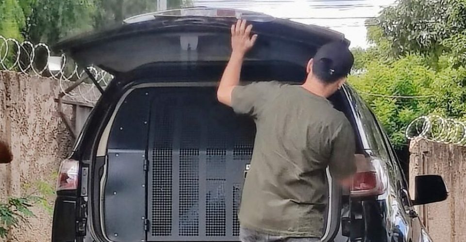 Foto: Divulgação / PCMS