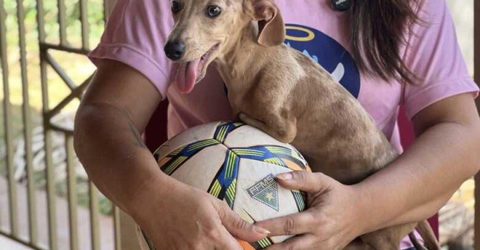 Foto: Divulgação
