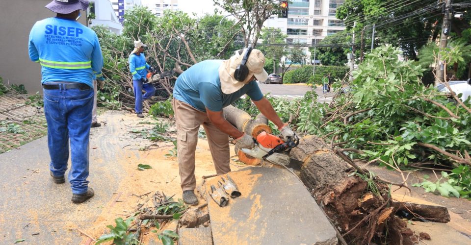 Foto: Divulgação/ PMCG