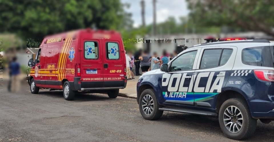 Foto: Jose Luiz Bressa/ Portal Cone Sul