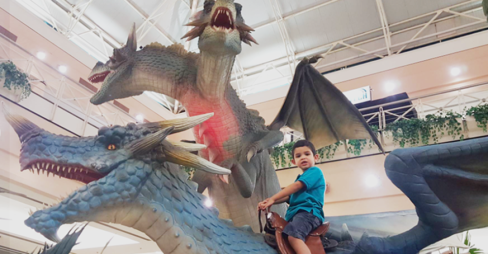 Foto: Reprodução Redes Sociais