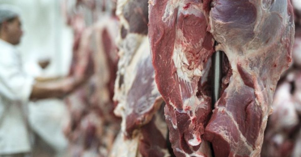 carne-empregos-730x480