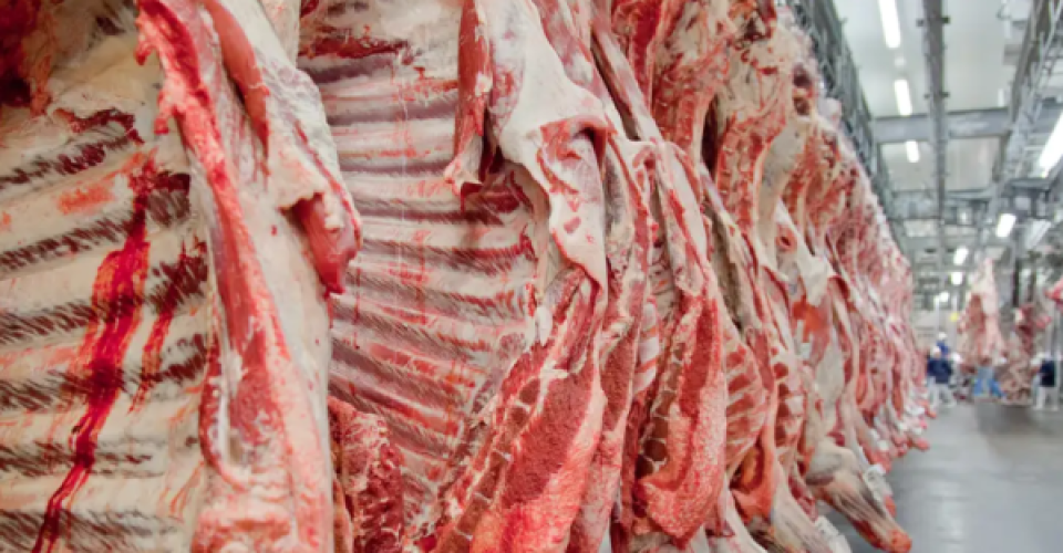 Exportações de Mato Grosso do Sul totalizaram US$ 903,3 milhões em agosto. Foto: Divulgação