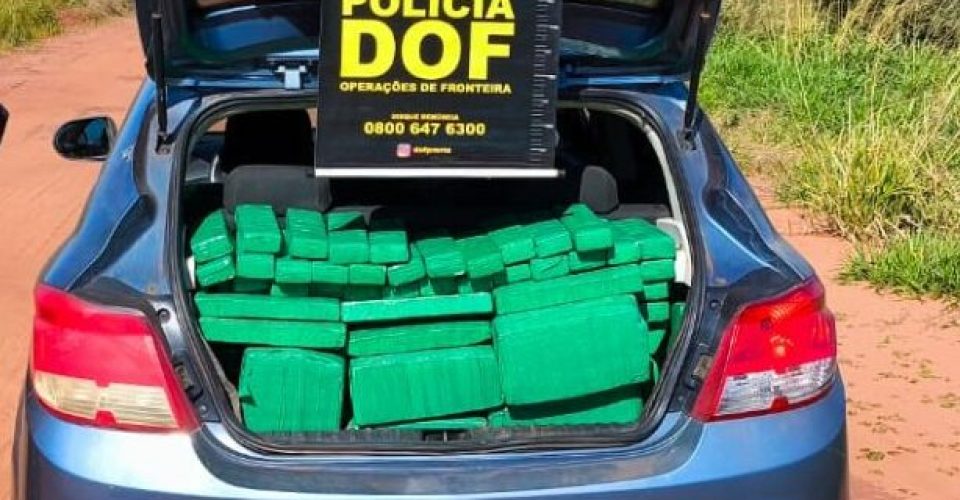 Foto: Divulgação/DOF