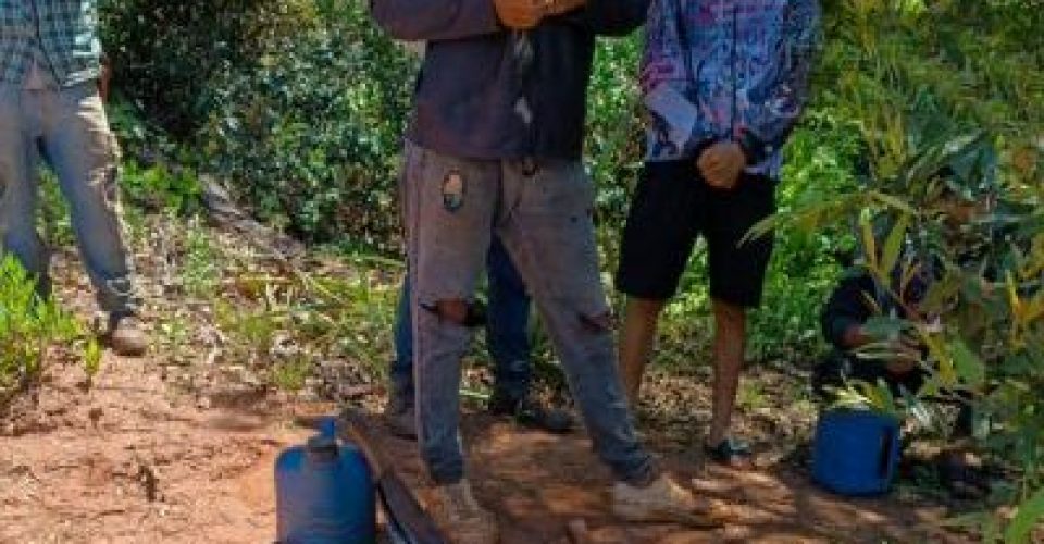 Grupo inclui dois adolescentes - Foto: Divulgação/MPT