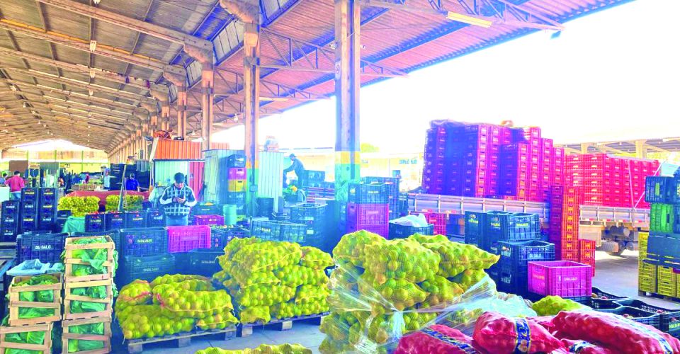 Campo Grande ocupa 3º lugar no ranking das cidades que mais fornecem para a Ceasa/MS, atrás de Sidrolândia
e Terenos - Foto: reprodução