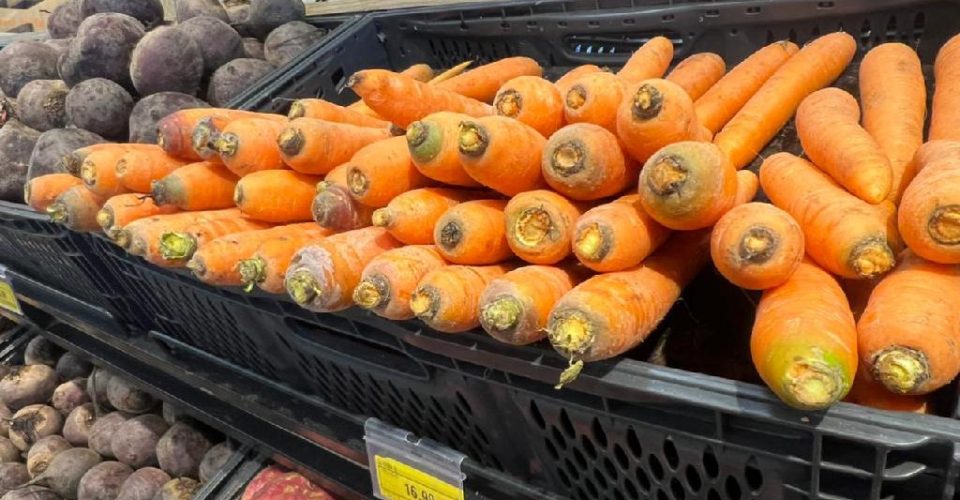 Foto: Luciana Cury/Seaf