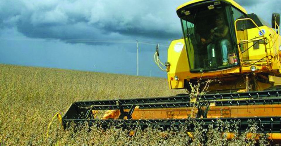 Setores importantes ligado ao agro utilizam o óleo diesel - Foto: divulgação