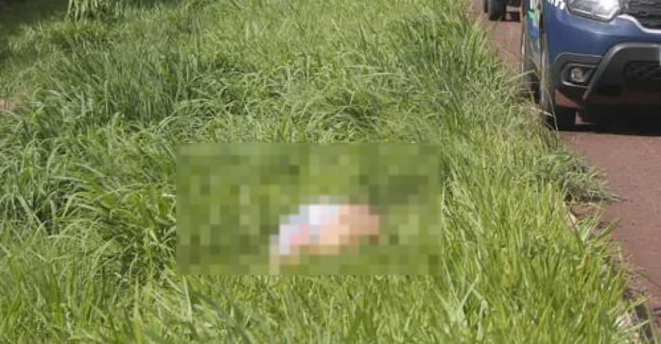 Foto: Reprodução/ Leitor O Estado