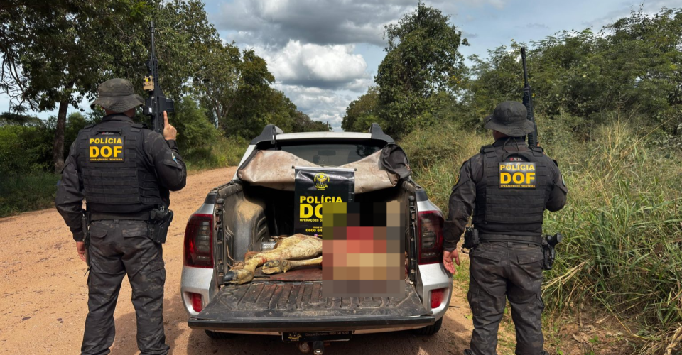 Foto: Divulgação/DOF