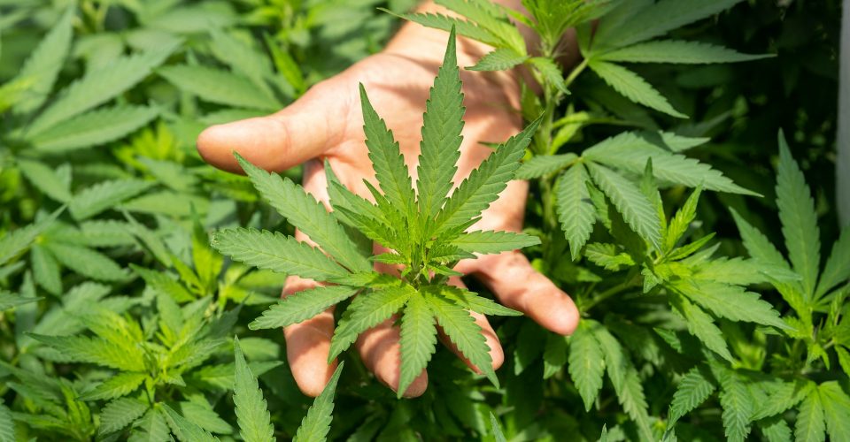 Imagem ilustrativa - Foto: Unsplash