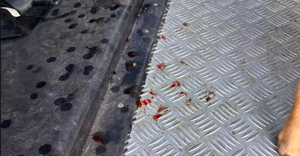 Sangue do animal ficou pelo assoalho do carro - Foto: divulgação