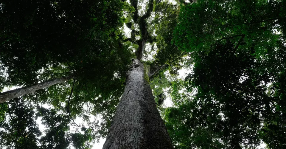 Foto: Fernando Frazão/Agência Brasil