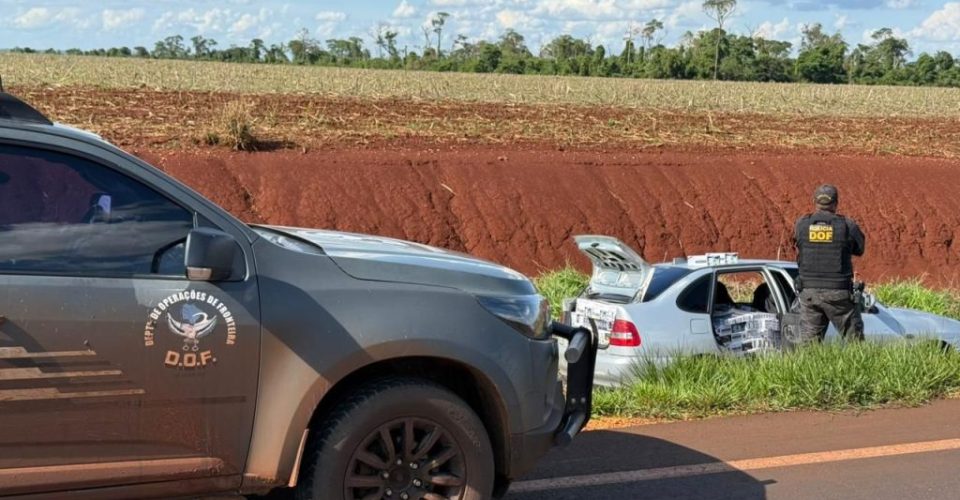 Foto: Divulgação/DOF