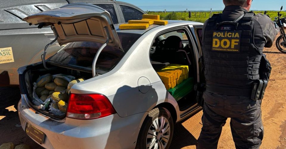 Foto: Divulgação/DOF