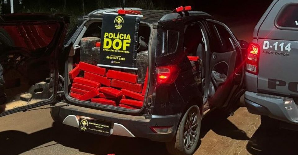 Foto: Divulgação/DOF