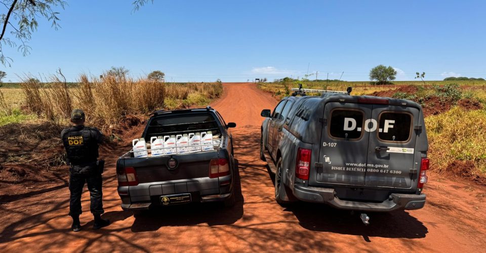 Foto: Divulgação/DOF