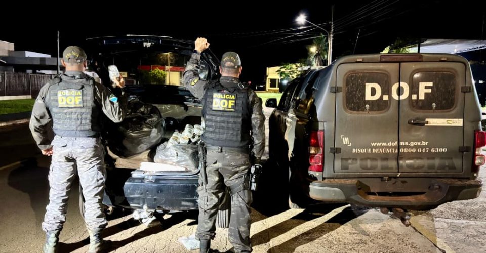 Foto: Divulgação/DOF