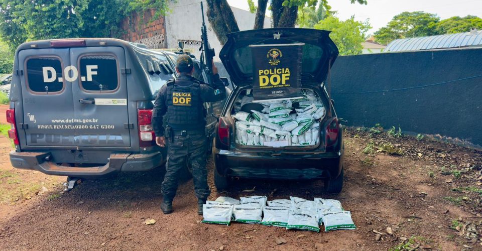 Foto: Divulgação/DOF