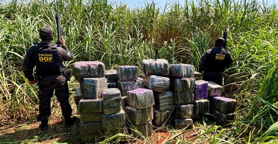 Foto: Divulgação/DOF