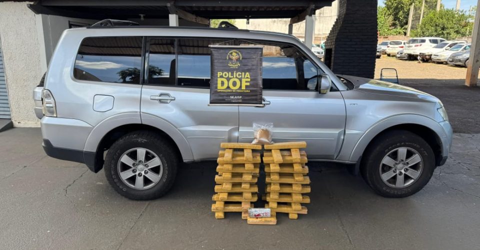 Foto: Divulgação/DOF