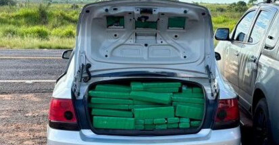 Foto: Divulgação/DOF