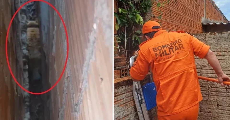 Foto: Reprodução/Jornal da Nova