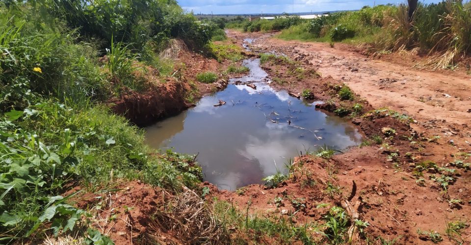 Foto: Reprodução Câmara