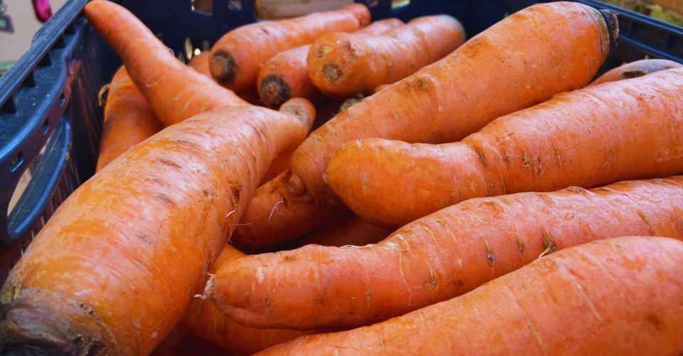 Foto: Divulgação/Ceasa