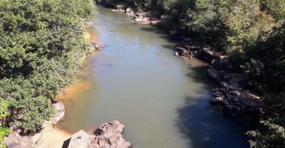 Programa preserva nascentes de rios em cidades de MS