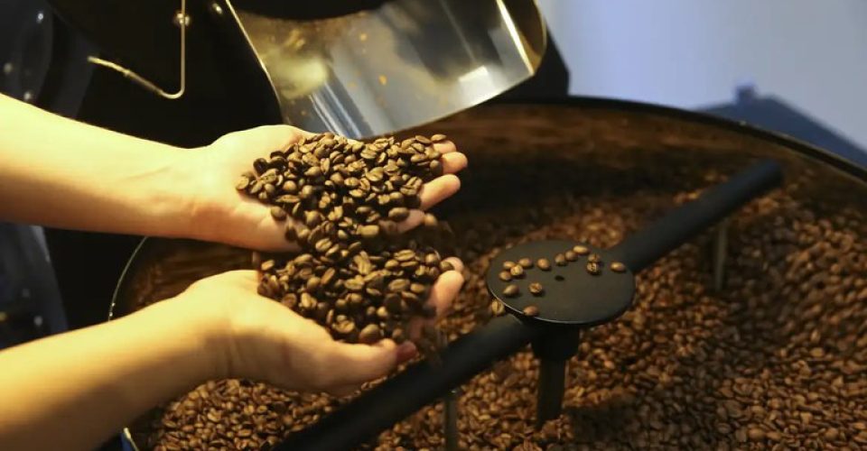 Em outubro de 2024, as exportações de todas as formas de café da América do Sul aumentaram 12,4%, para 6,69 milhões de sacas. São as maiores exportações mensais já registradas, superando o maior volume anterior de 6,57 milhões de sacas, enviadas em novembro de 2020. Foto: Marcello Casal Jr/Agência Brasil