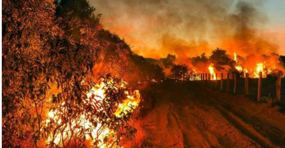 Emergência em cinco cidades com as queimadas no Pantanal