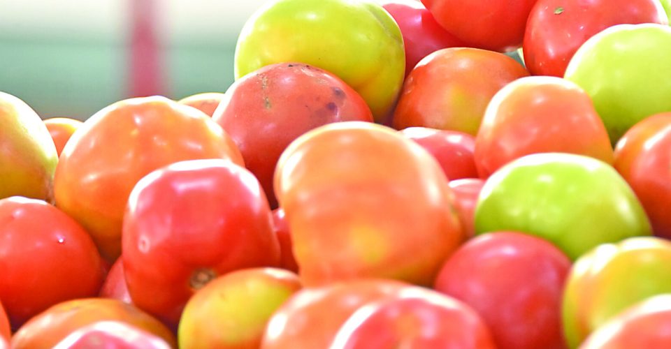 Consumidor encontro tomate com valar mais baixo em supermercados de Campo Grande
Foto: Valentin Manieri