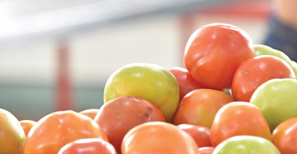 Foto: Valentin Manieri