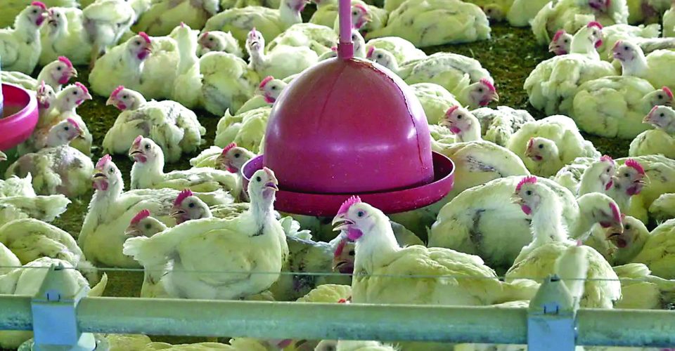 Foto: Agência Brasil