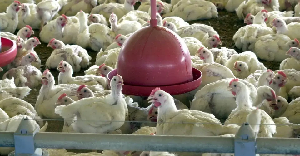 Foto: Arquivo/Agência Brasil