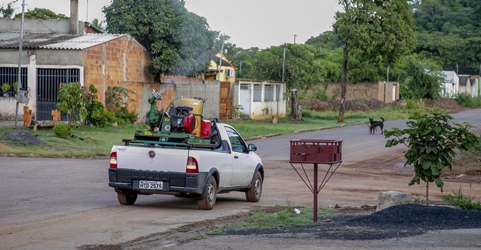 Foto: Renê Marcio Carneiro