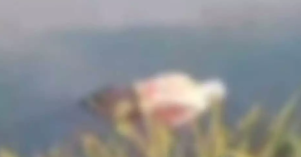 Foto: Portal Água Clara