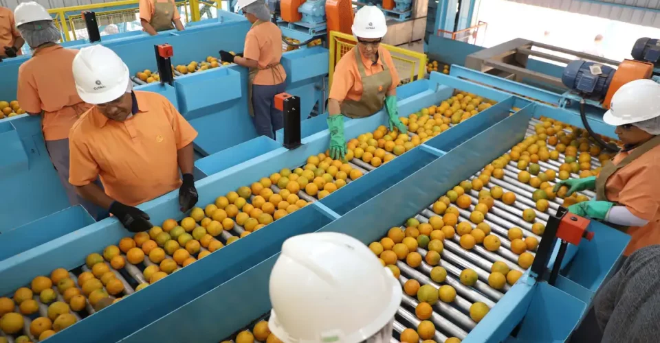 Foto: Ari Dias/Governo do Paraná