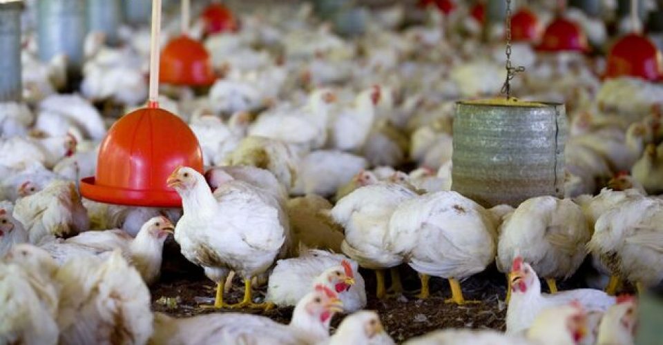 Foto: Editora Globo/ Divulgação