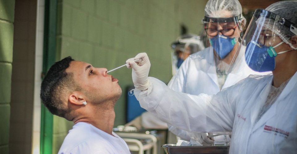 teste testagem casos swab exame analise covid-19 virus