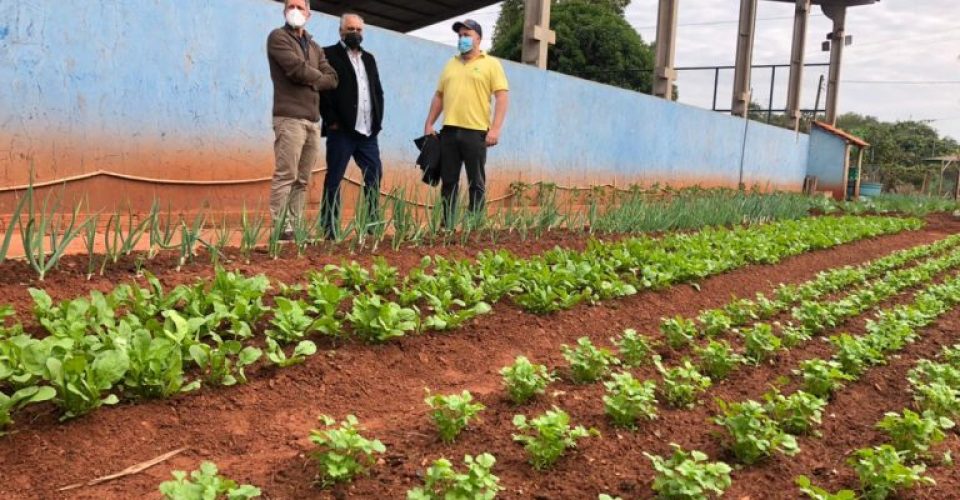 Foto: Reprodução/ Prefeitura de Campo Grande.